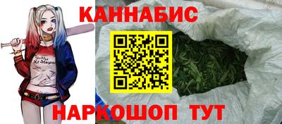 молекула духа Партизанск