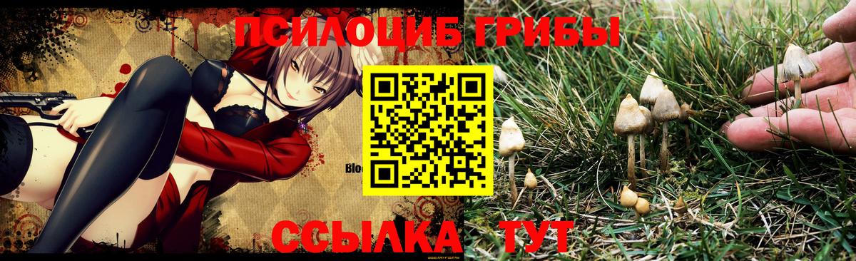Галлюциногенные грибы Cubensis Сосновоборск