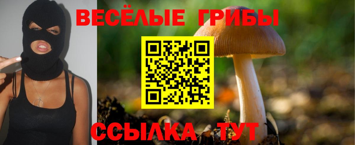Сосновоборск  Вход с VPN  Канабис  COCAIN  Сколько стоит  Меф МЯУ МЯУ кристаллы  ГАШ 