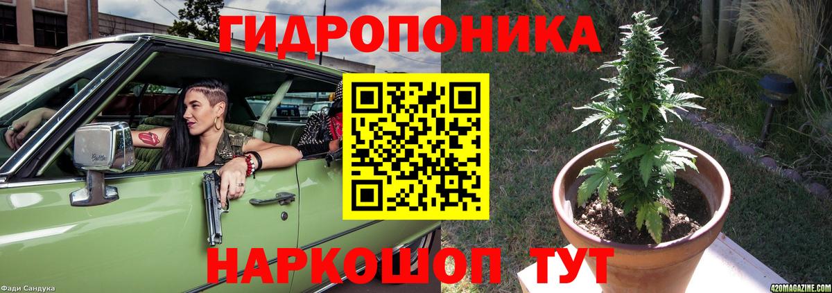 МАРИХУАНА ГИДРОПОН Сосновоборск
